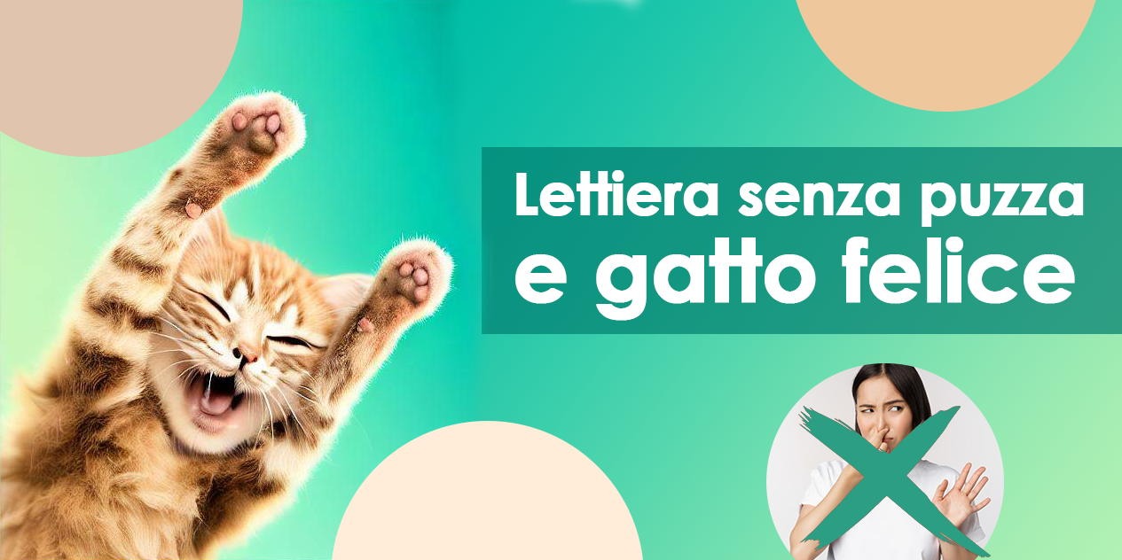 Lettiera senza puzza e gatto felice